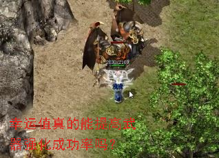 ����ֵ������������ǿ���ɹ�����