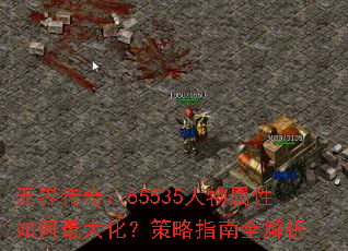 �޽紫�棺65535�������������󻯣�����ָ��ȫ����