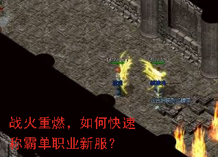 ս����ȼ����ο��ٳưԵ�ְҵ�·���