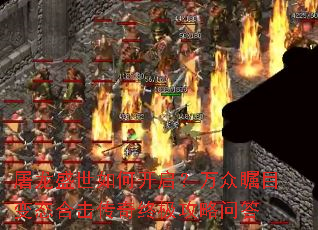 ����ʢ����ο�����������Ŀ��̬�ϻ������ռ������ʴ�