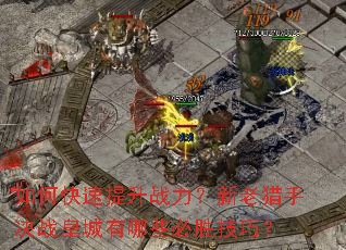 ��ο�������ս�����������־�ս�ʳ�����Щ��ʤ���ɣ�