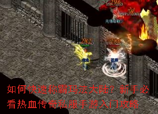 ��ο��ٳư��귨��½�����ֱؿ���Ѫ����˽���������Ź���