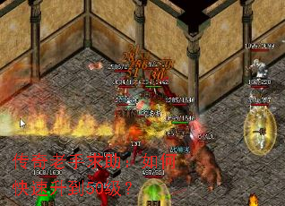 ����������������ο�������50����