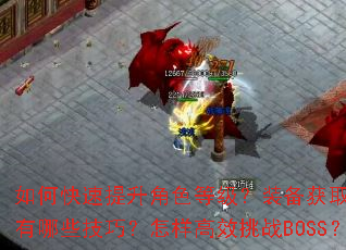 ��ο���������ɫ�ȼ���װ����ȡ��ǿ������Щ���ɣ�������Ч��սBOSS��