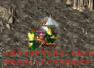 ��ο���������ɫ�ȼ���װ����ȡ��ǿ������Щ���ɣ�������Ч��սBOSS��