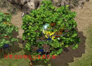 ���淨ʦ��Щ������ʵ�ã�