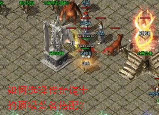 ���ѡ�����ʿ�Ķ���װ�����䣿