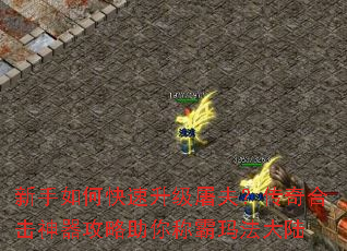 新手如何快速升级屠夫?传奇合击神器攻略助你称霸玛法大陆 新手如何快速升级屠夫?传奇合击神器攻略助你称霸玛法大陆