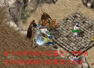 新手如何快速升级屠夫?传奇合击神器攻略助你称霸玛法大陆 新手如何快速升级屠夫?传奇合击神器攻略助你称霸玛法大陆