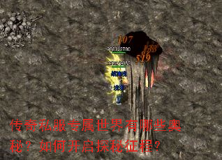 ����˽��ר����������Щ���أ���ο���̽�����̣�