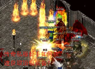 ����˽��������ο��ٻ�ȡ����װ����