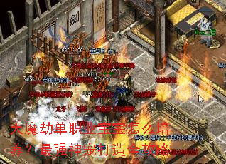 天魔劫单职业宝宝怎么培养?最强神宠打造全攻略 天魔劫单职业宝宝怎么培养?最强神宠打造全攻略