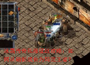 ��˪����˽����ս���ԣ���δ����³ɳ�Ϊ�귨���ߣ�