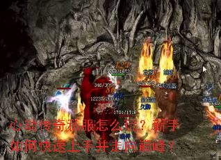 �Ķ�����˽����ô�棿������ο������ֲ������۷壿