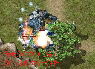 ������;����ʶ����������Ź���ȫ����