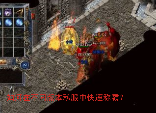 ����ڲ�ͬ�汾˽���п��ٳưԣ�