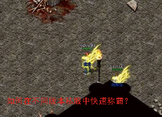 ����ڲ�ͬ�汾˽���п��ٳưԣ�