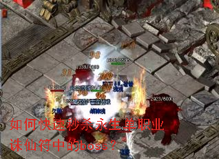 ��ο�����ɱ������ְҵ���ɷ��е�boss��