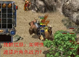 �������գ���ο���������ɫս����