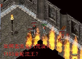 ��λ������Ż�Į181153���ַ�����