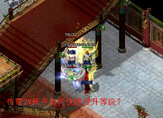 ����2M������ο��������ȼ���