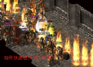 ��ο���������Ϊ�ȼ���