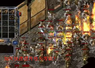 ��ο���������Ϊ�ȼ���