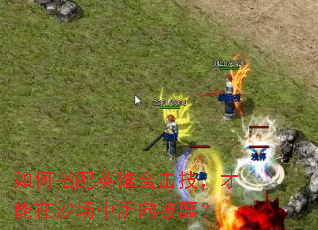 ��δ���Ӣ�ۺϻ�����������ɳ�����������ң�