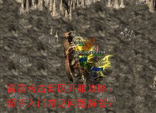 �����ϻ������������ԣ��������ų���������