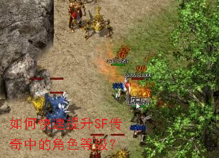 ��ο�������SF�����еĽ�ɫ�ȼ���