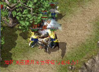 ��ο���������ɫ�ȼ���ս������