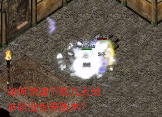 ��ο������ؾ���ٵ�ְҵ����汾��