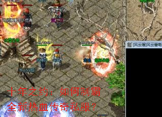 ʮ��֮Լ������ư�ȫ����Ѫ����˽����