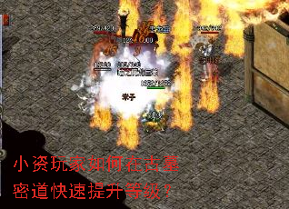 С���������ڹ�Ĺ�ܵ����������ȼ���