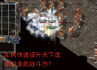 ��ο����������³ɵ�ְҵ��ս������