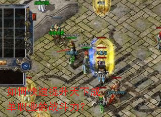 ��ο����������³ɵ�ְҵ��ս������