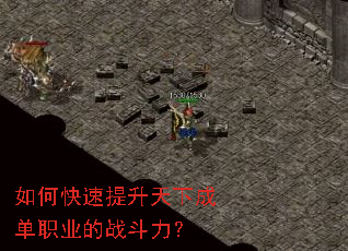 ��ο����������³ɵ�ְҵ��ս������