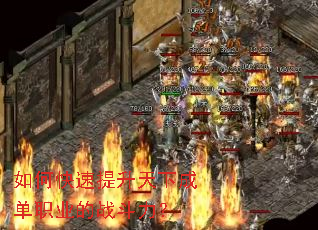 ��ο����������³ɵ�ְҵ��ս������