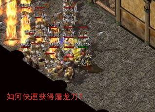 ��ο��ٻ����������