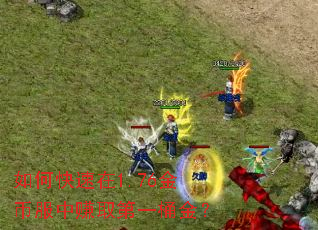 如何快速在1.76金币服中赚取第一桶金? 如何快速在1.76金币服中赚取第一桶金?