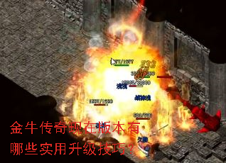 金牛传奇现在版本有哪些实用升级技巧? 金牛传奇现在版本有哪些实用升级技巧?
