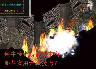金牛传奇现在版本有哪些实用升级技巧? 金牛传奇现在版本有哪些实用升级技巧?