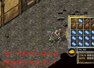 金牛传奇现在版本有哪些实用升级技巧? 金牛传奇现在版本有哪些实用升级技巧?
