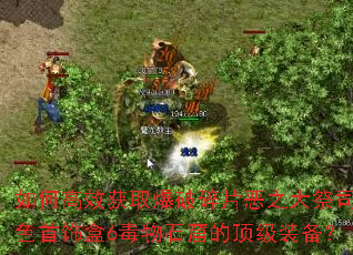 如何高效获取爆破碎片恶之大祭司蓝色首饰盒6毒物石窟的顶级装备? 如何高效获取爆破碎片恶之大祭司蓝色首饰盒6毒物石窟的顶级装备?