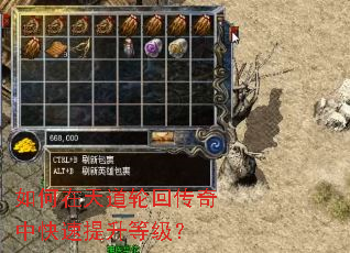 如何在天道轮回传奇中快速提升等级? 如何在天道轮回传奇中快速提升等级?