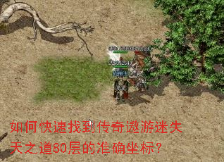 如何快速找到传奇遨游迷失天之道80层的准确坐标? 如何快速找到传奇遨游迷失天之道80层的准确坐标?