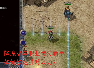 ��ħ¼��ְҵ����������ο�������ս����