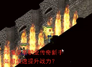 ��ħ¼��ְҵ����������ο�������ս����