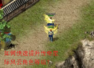 ��ο������������Ǽʷ��ƽ�ɫ�ȼ���