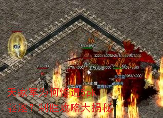 ��Ҿ�Ϊ�β���5pk������ʤ���Դ����